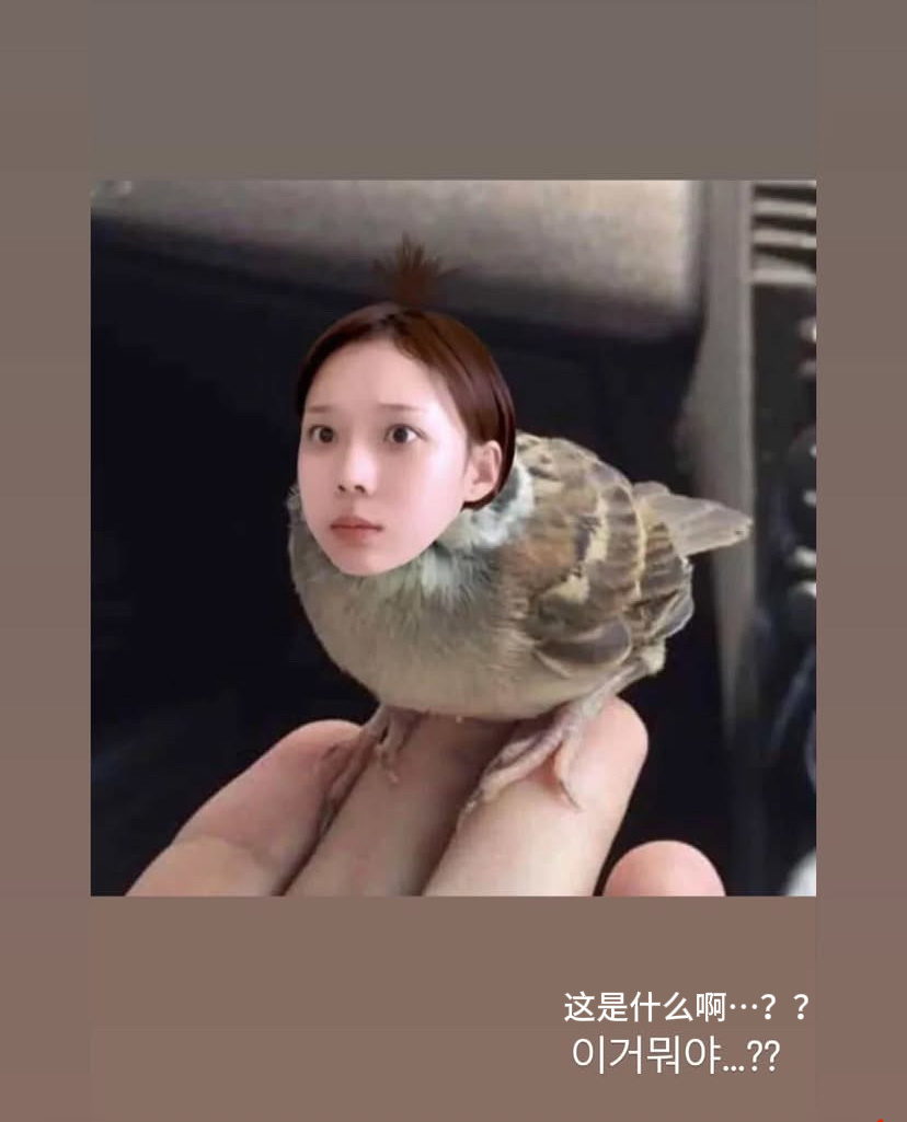 莫呀。。 