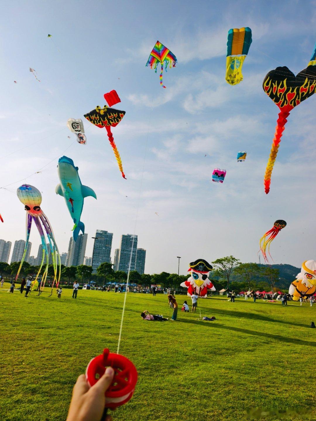 珠三角发展纵横观察录 海风爽一夏🪁，温和干爽的海风遇上大型风筝活动，这片大草地
