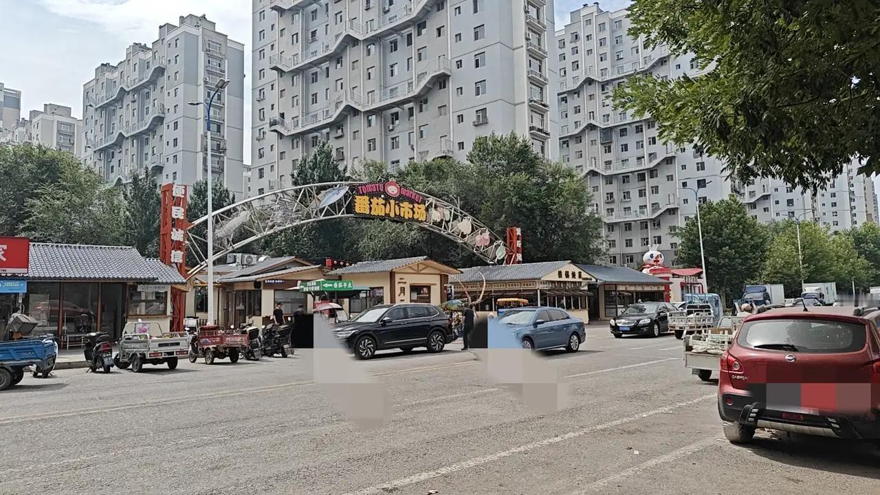 对门老哥姓宫，82岁了，老伴78岁。12年前从黑龙江富裕县过来的，当年花了26万
