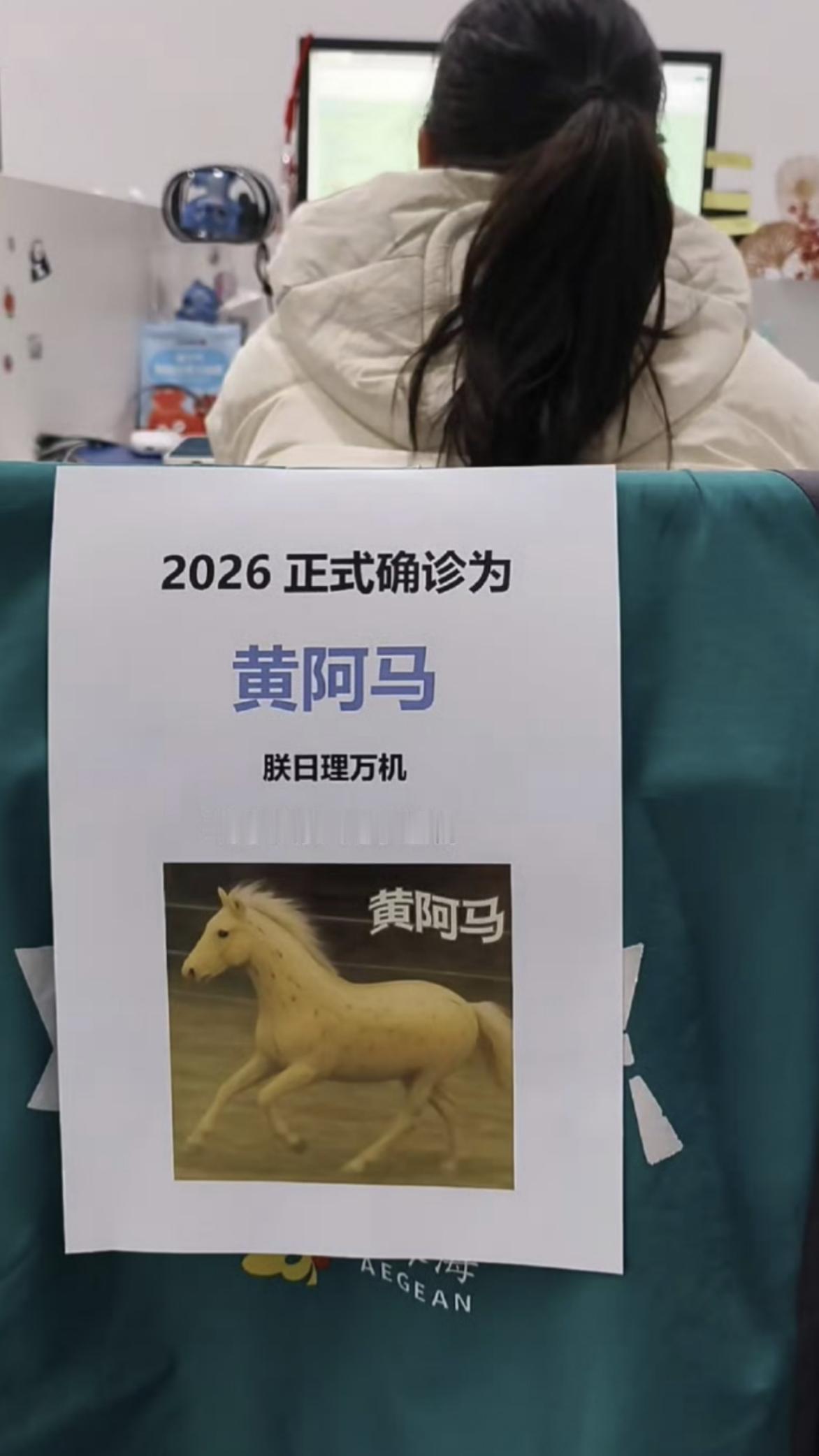 马年梗来了，你是哪个马
马年的梗比以前来得早了些，不愧一马当先。友友是哪个马？