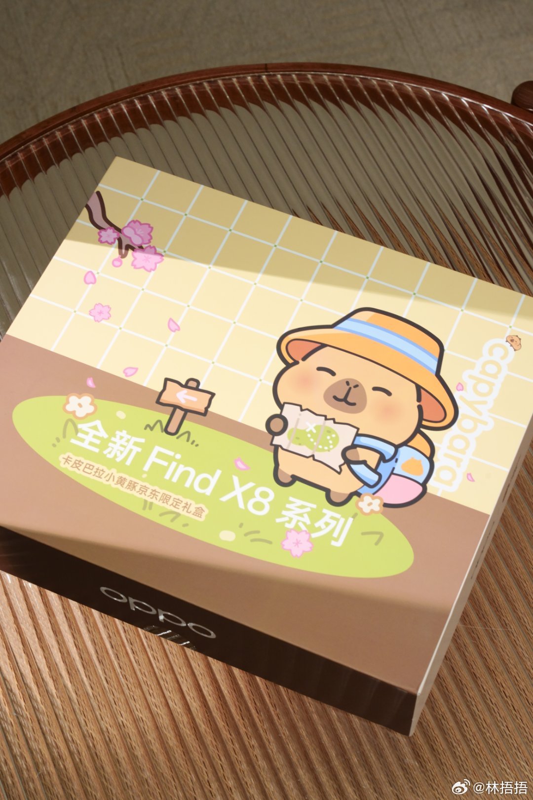 收到了一份来自 OPPO Find X8s的周边，非常可爱的卡皮巴拉套装，特别是