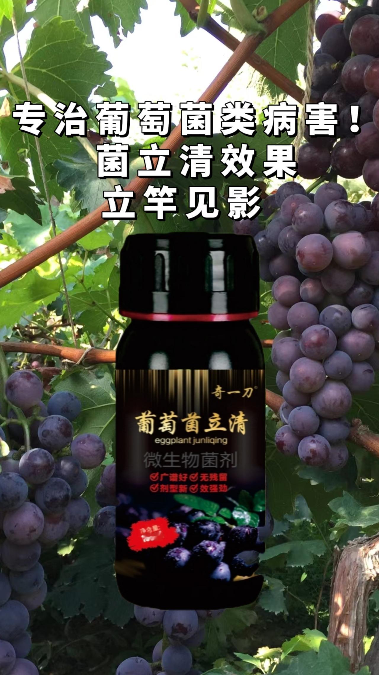 葡萄菌，立清