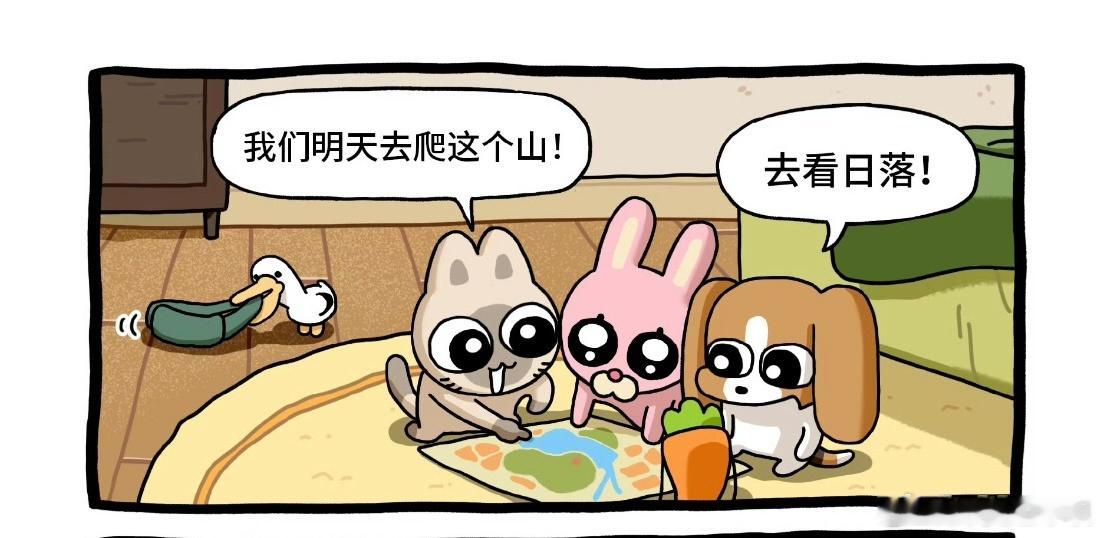 每期都会有一两张超好代就是