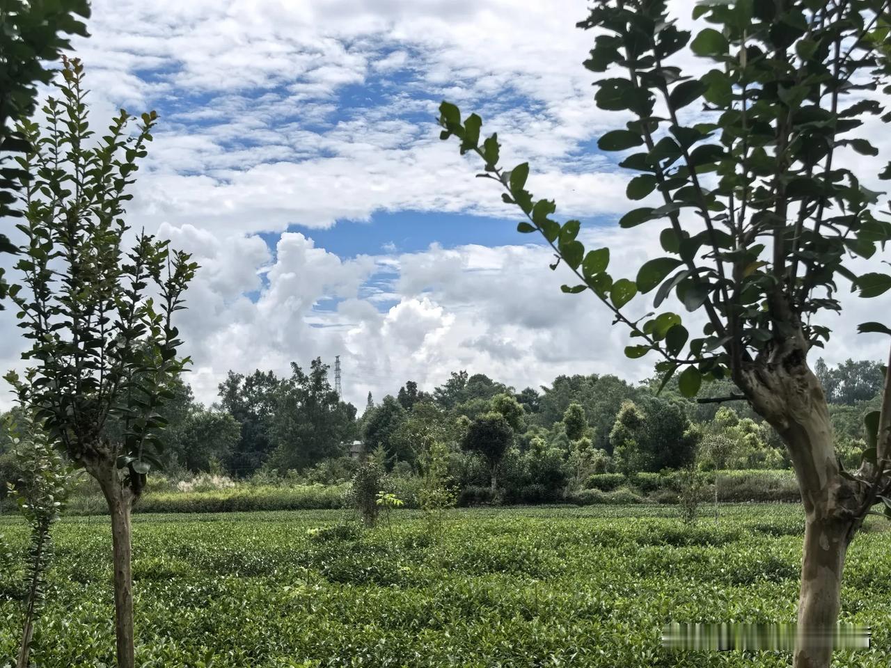 今天我来统一回答一下大家比较感兴趣的两个问题。有好几个朋友问我:我们这里为什么拆
