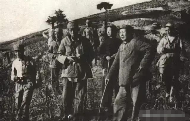 转战陕北的主席与夫人。转战陕北，抗击胡宗南，唯一的女同志。艰难时刻，不离不弃，向