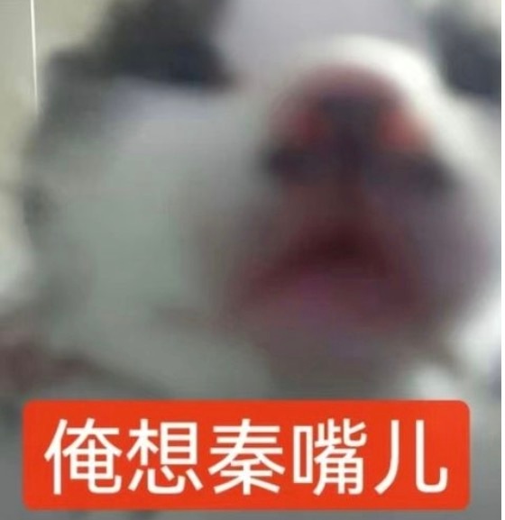 你不说我还真不知道，谢谢你啊