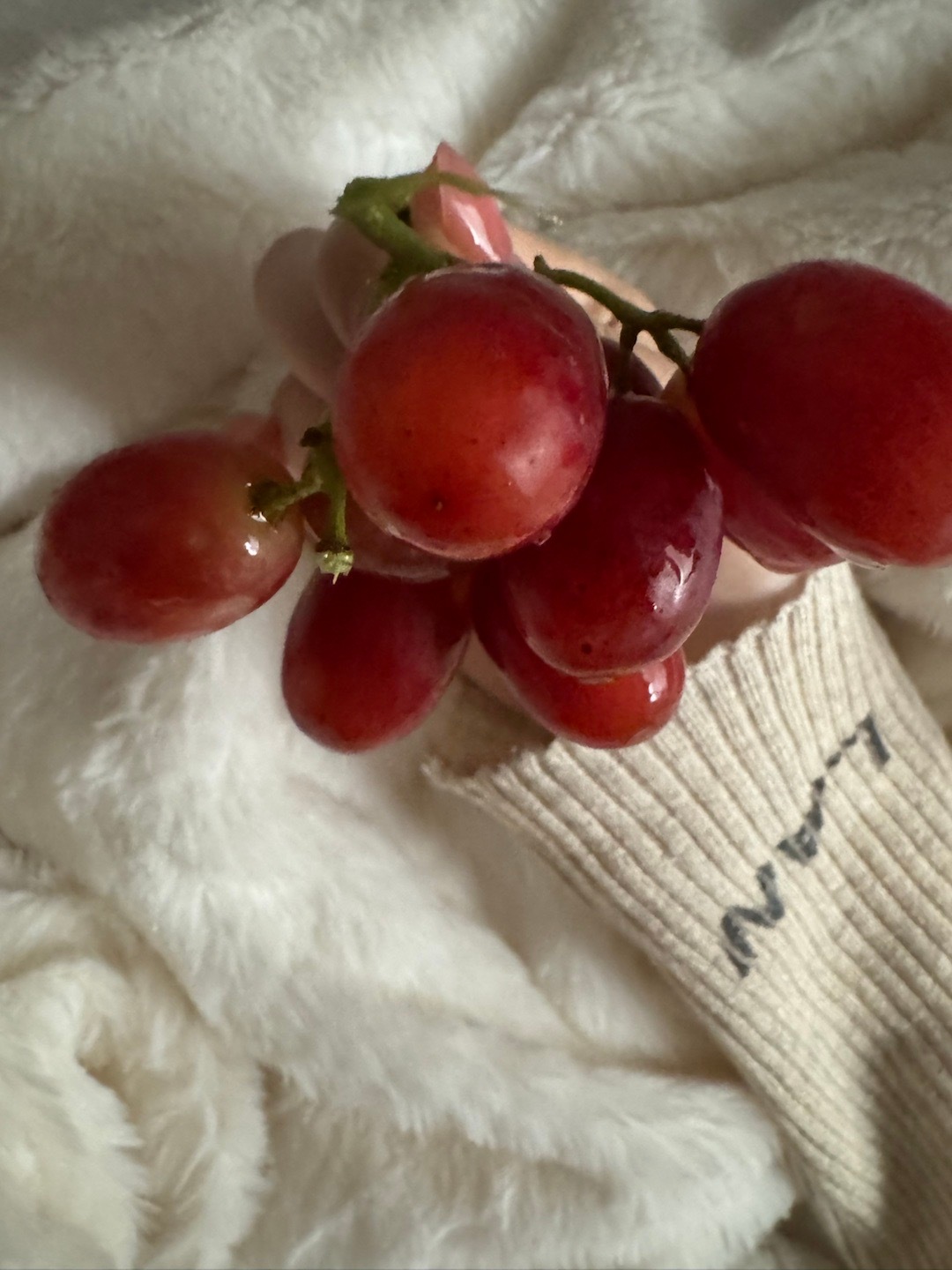 我刚刚在床上躺着 然后我妈妈来给我吃了两个葡萄 我说好好吃 然后她就拿了一小串给