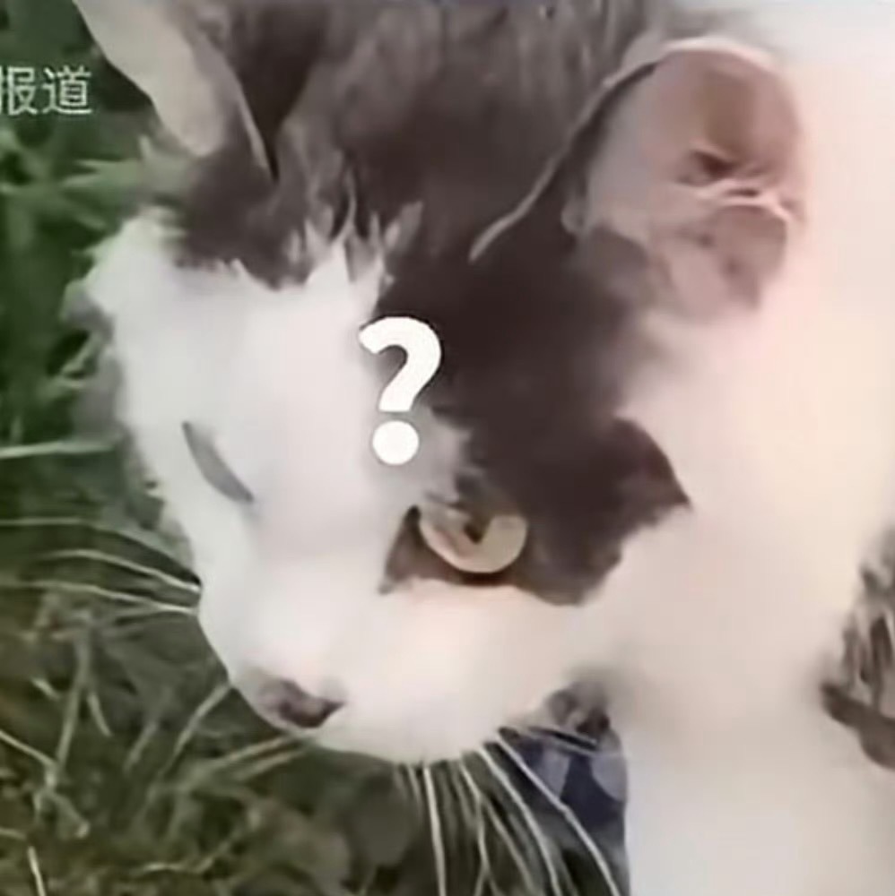 俄罗斯奶牛猫运毒被抓只能喵喵喵太恐怖了，已经开始利用可爱的哈吉米了，咪做错了什么