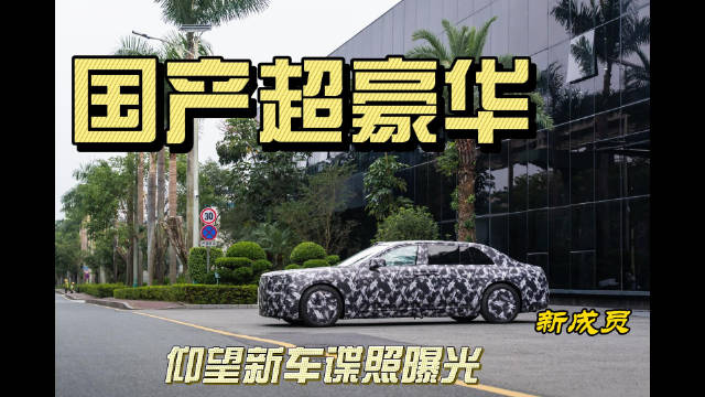 #仰望超豪华行政轿车实拍曝光# ​