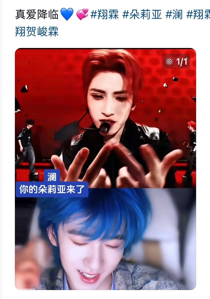 我特么真是搞不懂xxp了 澜你的朵莉亚来了？ 请问图中🐞和澜的关系是？ 澜和朵