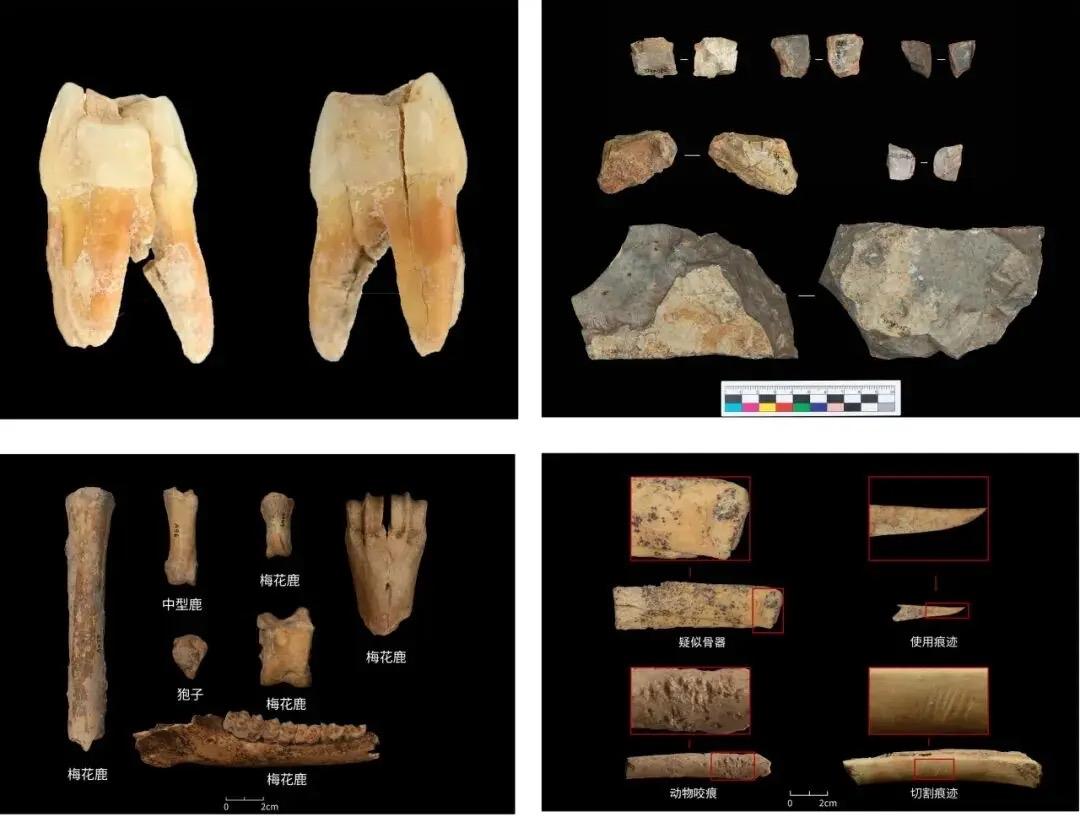 山东后李文化与北辛文化的发现，将海岱地区的文明源头推向更古。在这里，从最初的陶釜