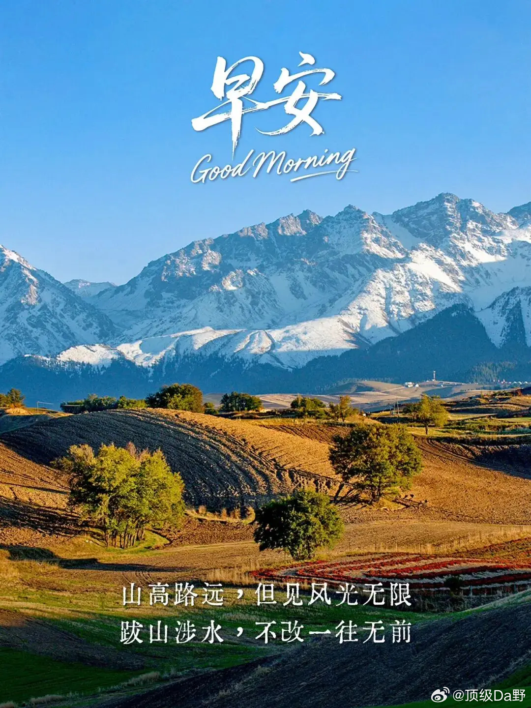 早上好，宝们！点赞打卡养成金粉体质新的一周，全新的起航，评论区见真章！ 