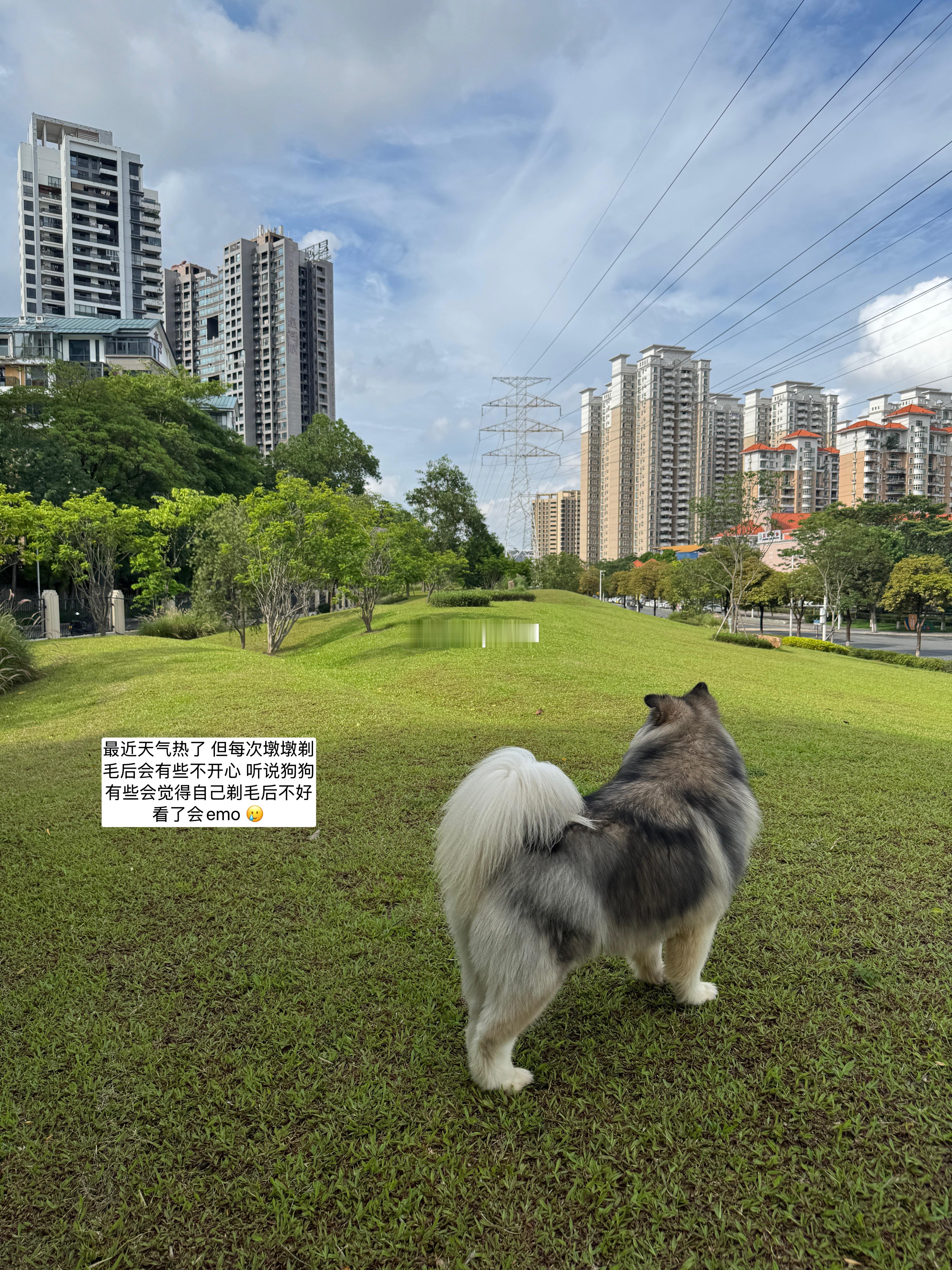 𝗝𝘂𝗻𝗲六一祝老婆们和我都永远能做快乐的小孩儿🎠💟（默默补一句昨天端
