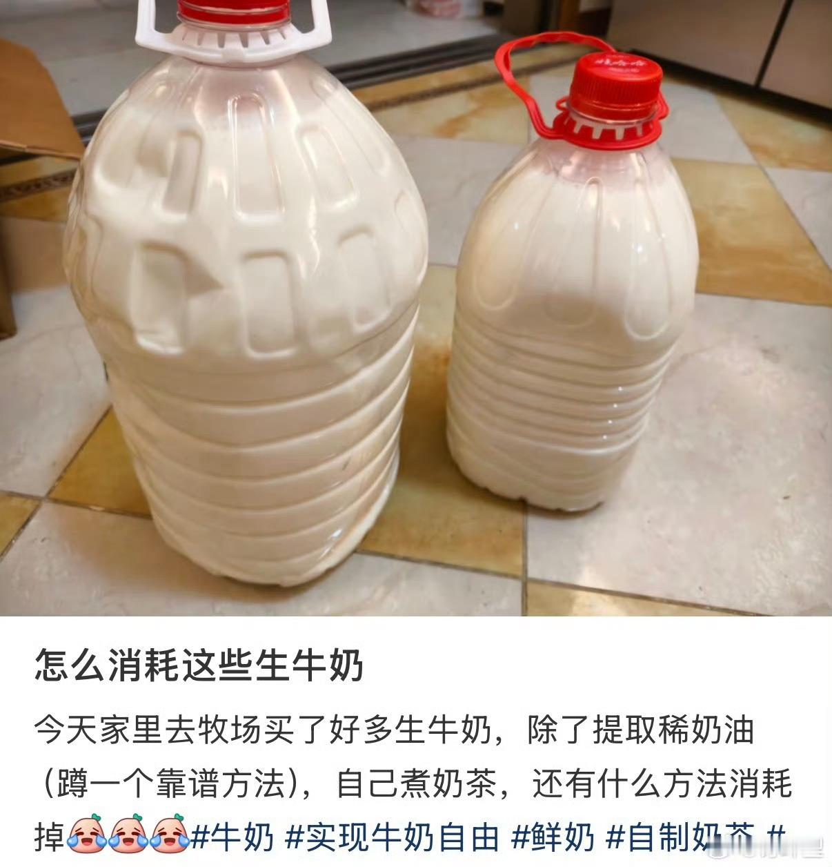 下次我就这样喝牛奶 冻成奶砖，咔咔啃 