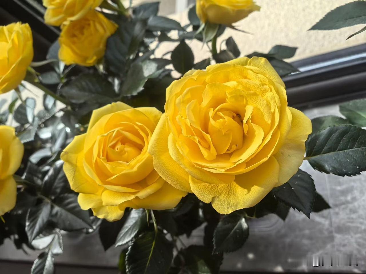 商家如何防范恶意投诉? 
【小对联】
上：顺便；
下：……？