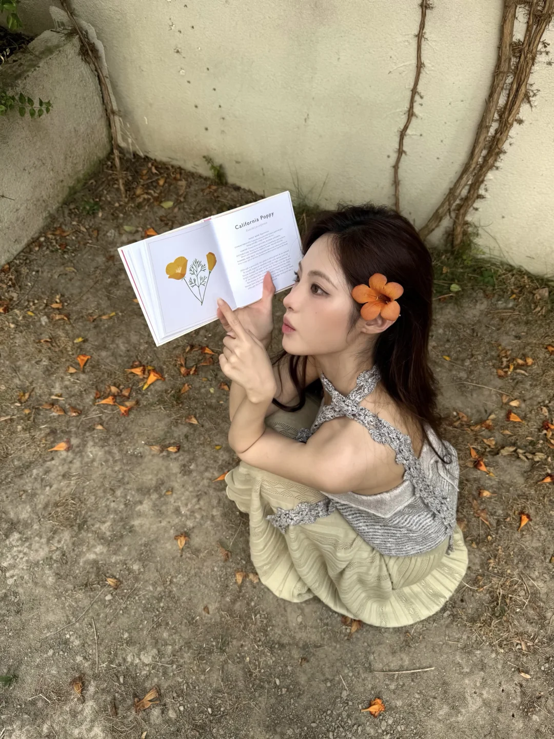 Wildflowers 🌼🌿🍄‍🟫