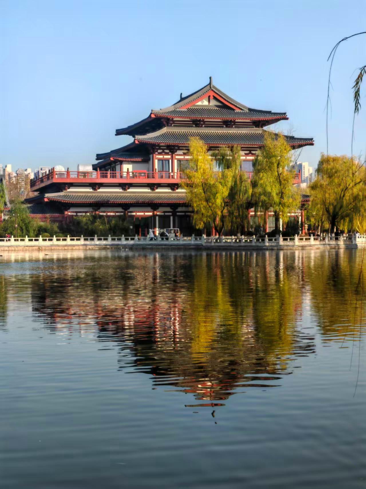 兴庆公园深秋实拍9图，再不去就等明年了！西安的秋天在这里按下暂停键！金黄梧桐映着