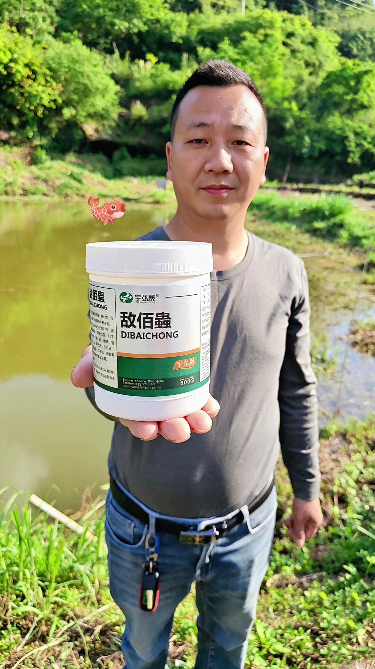 敌佰蟲 鱼塘养殖 鲢鱼 鲤鱼 草鱼