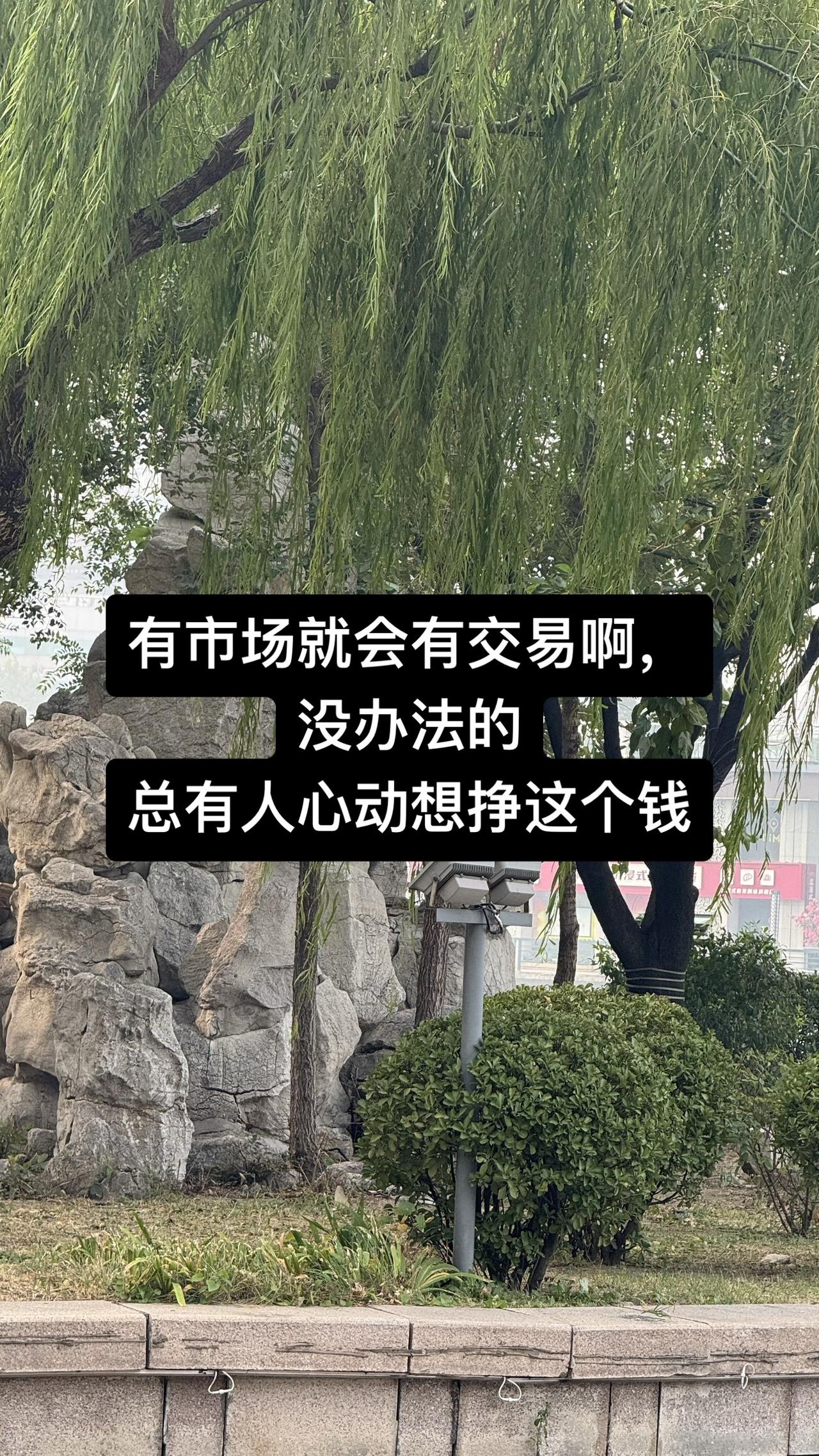 记者实地调查医疗公司涉嫌代孕