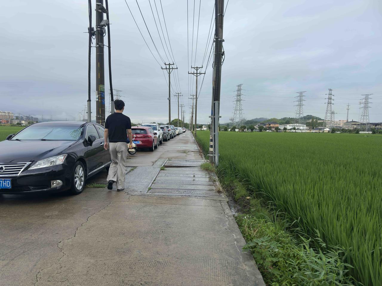我在杭州看田园，只此青绿！

来杭州将近半个月了，除了去了几趟浙一，就没有出过小