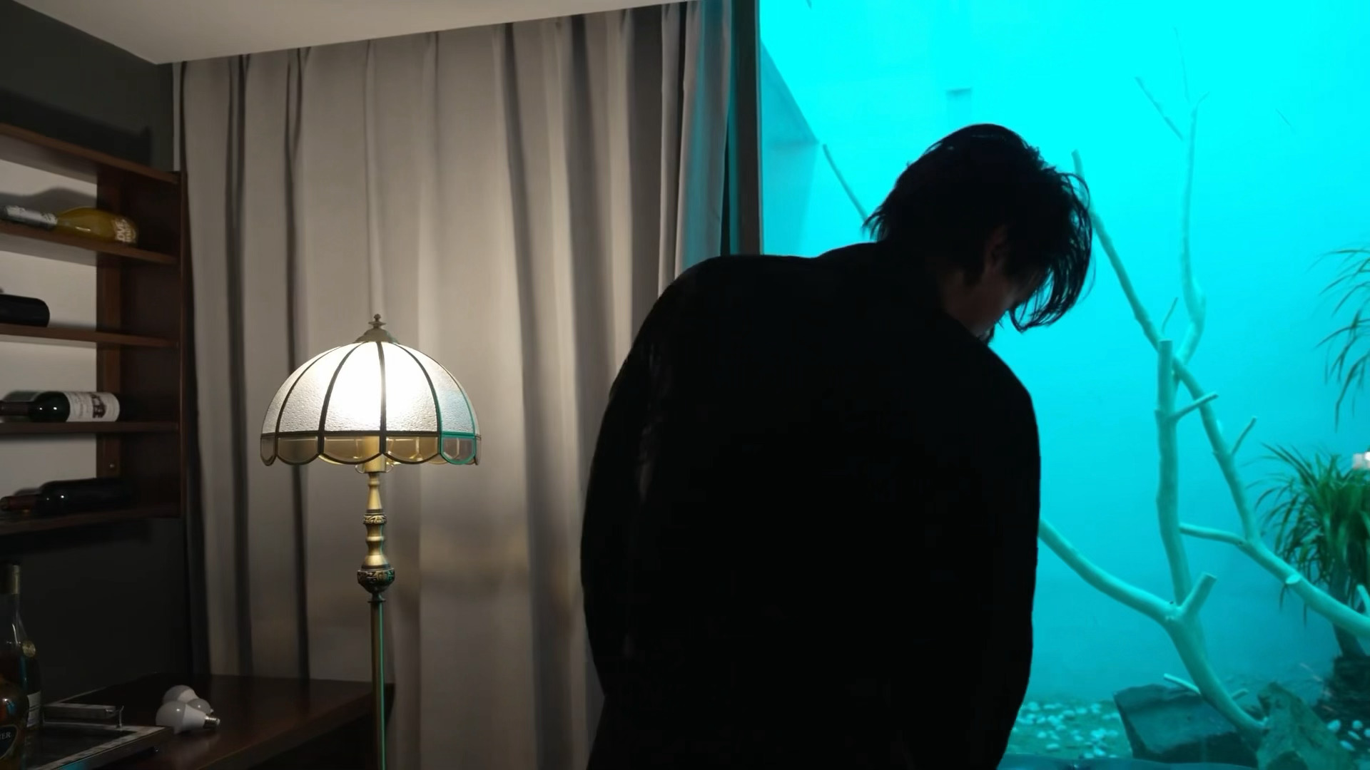 「我们就这样慌不择路地躲进一个夏天」°o.O O.o°૮⑉ºᗜº⑉ა°o.O O