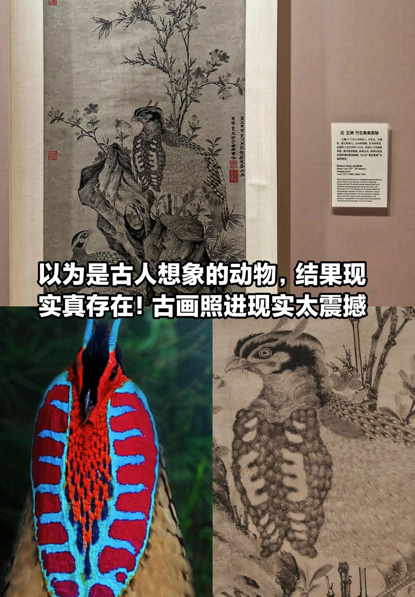 以为是古人想象的动物，结果现实真的存在。