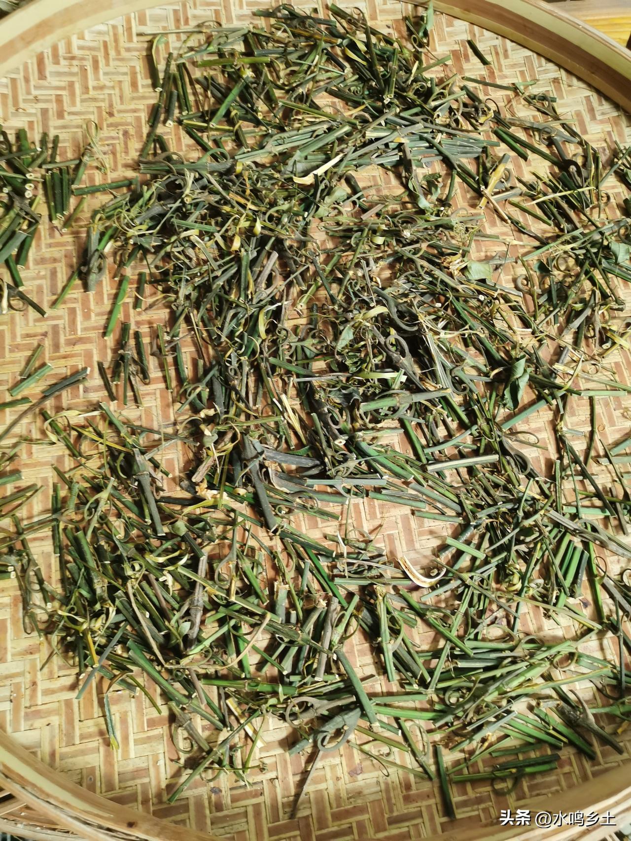 分享我这周有趣的事：年过完了，村里的年轻人陆陆续续出去谋生活，而我继续留在大山里