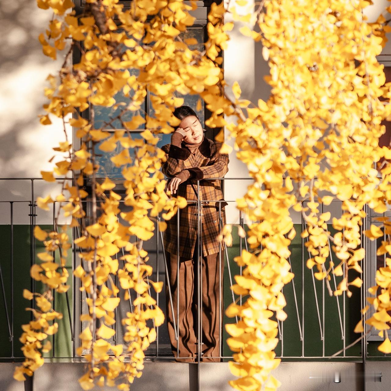 拍摄扬州冬日银杏，选晴日9-11点或15-17点，侧逆光拍显叶片通透，借古建筑构