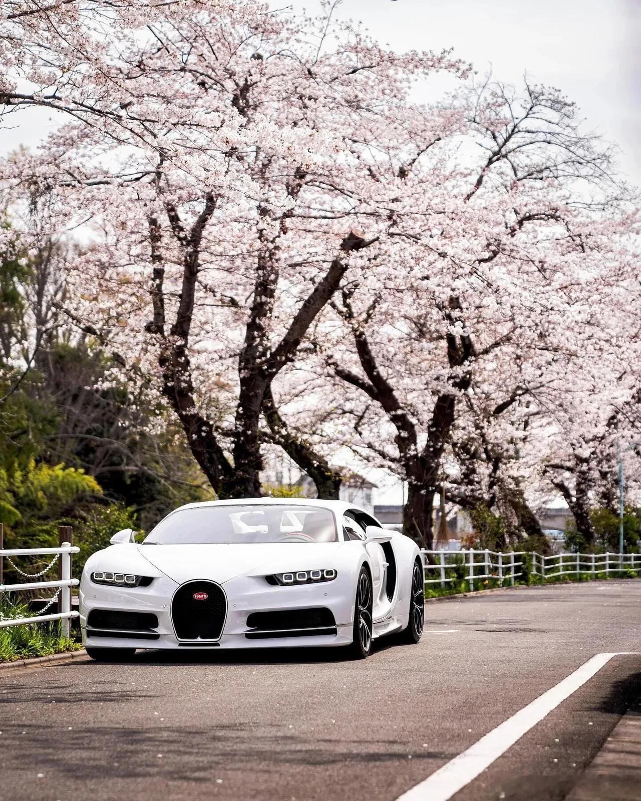 Bugatti  Chiron，真好看！#每日说车[超话]# ​​​