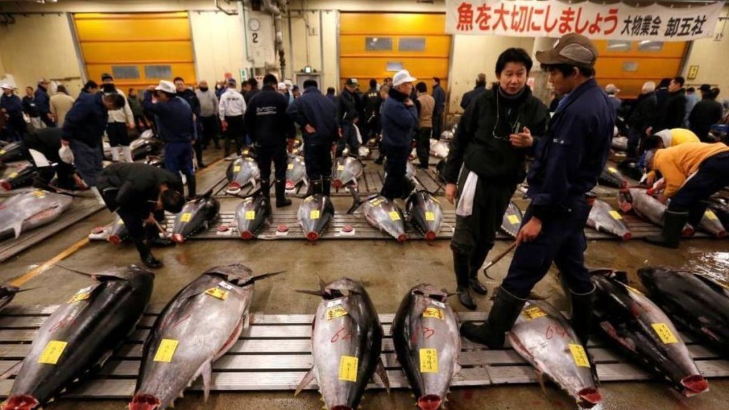 香港特区政府颁布食物安全命令，禁止日本10个都县的水产品、海盐及海藻食品进口。这