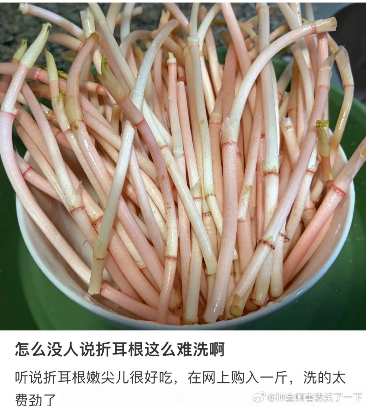 6051第一回见这么干净的折耳根 