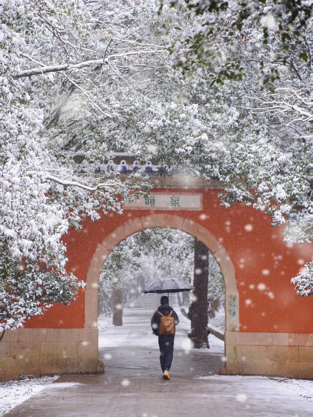 12.18实拍❄️雪中的灵谷寺美的不顾人死活😭