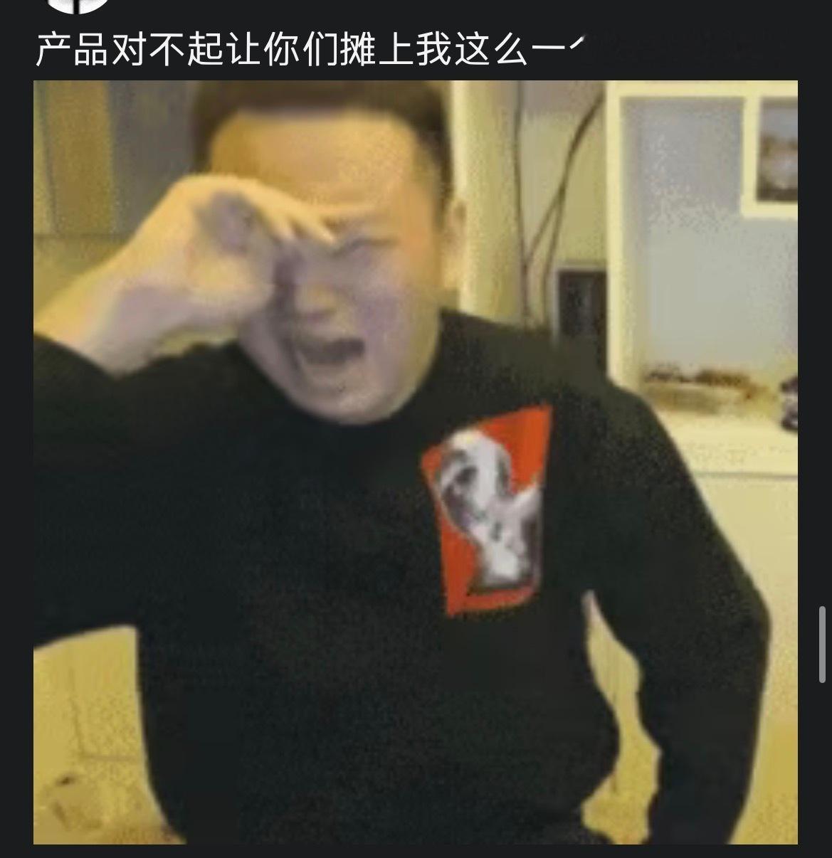 产品对不起我只会意淫其他的什么都不会