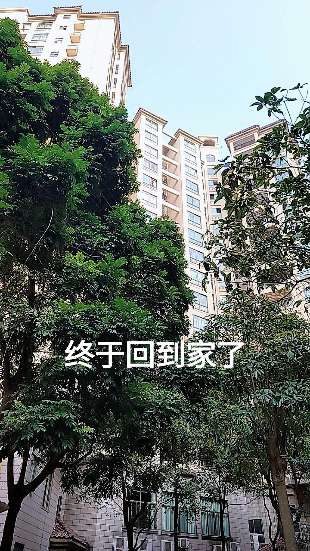 终于回到家了随拍 原创视频 随手一拍都是美景 小区一角也有美丽风景