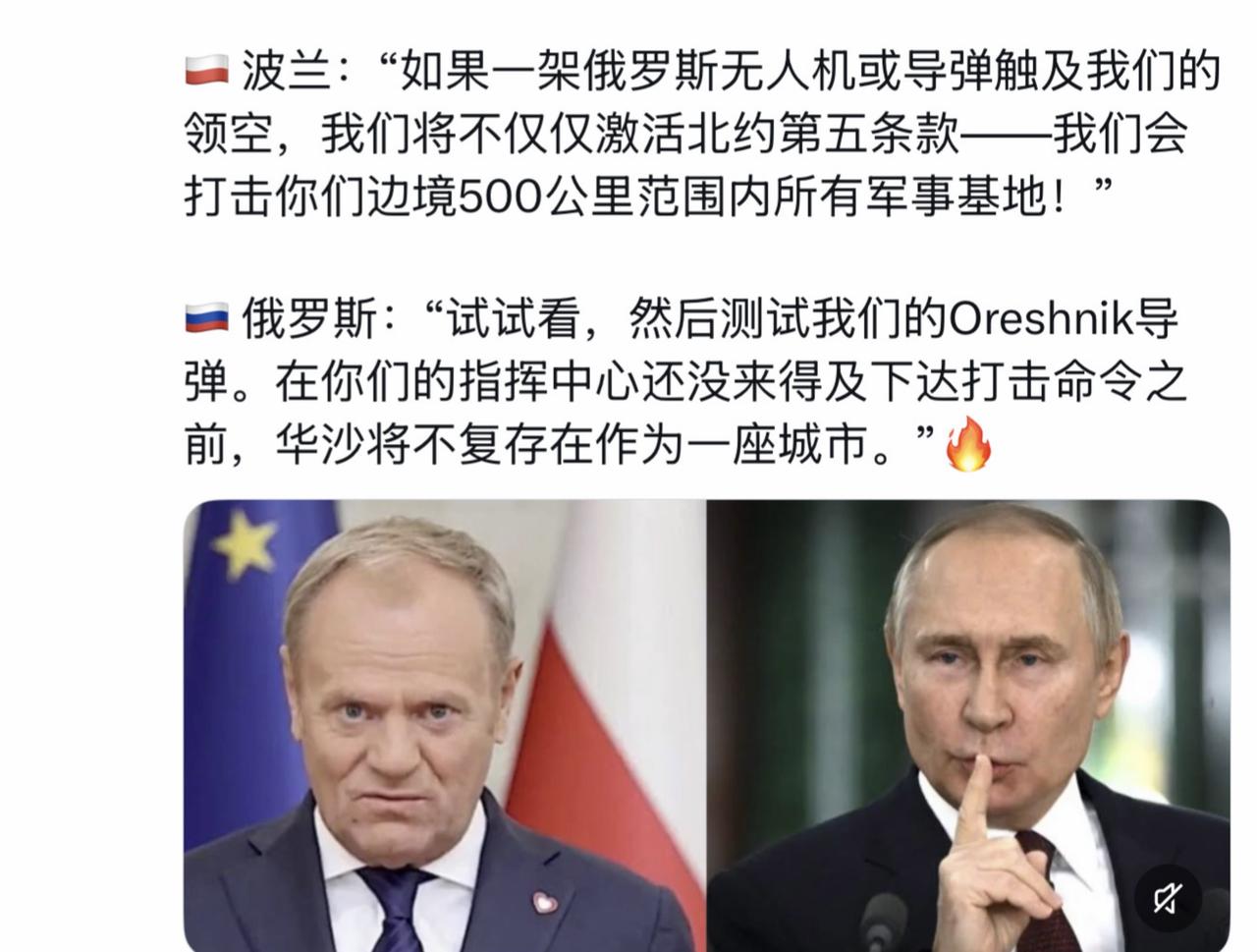 波兰：“如果一架俄罗斯无人机或导弹触及我们的领空，我们将不仅仅激活北约第五条款—