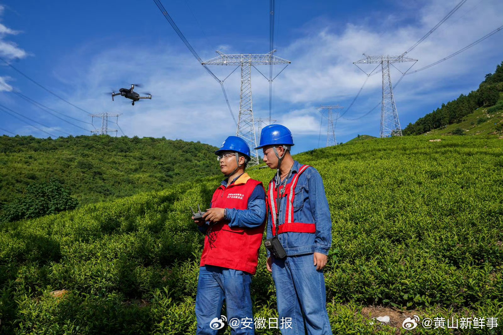 【宣城建成全国首个林电共安试点区 】经过近一年的持续攻坚，截至1月10日，宣城市