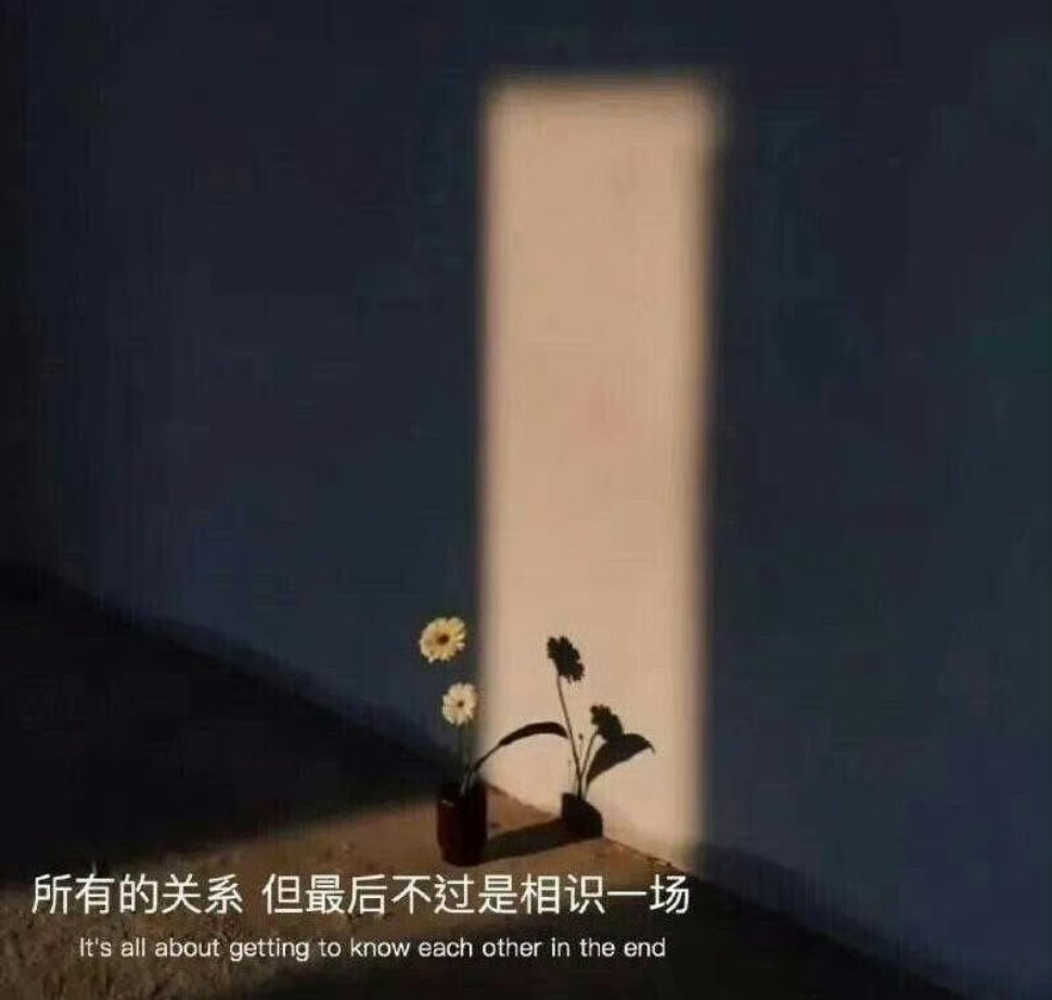 没有谁会无条件陪你，连影子也会在阴天缺席。 