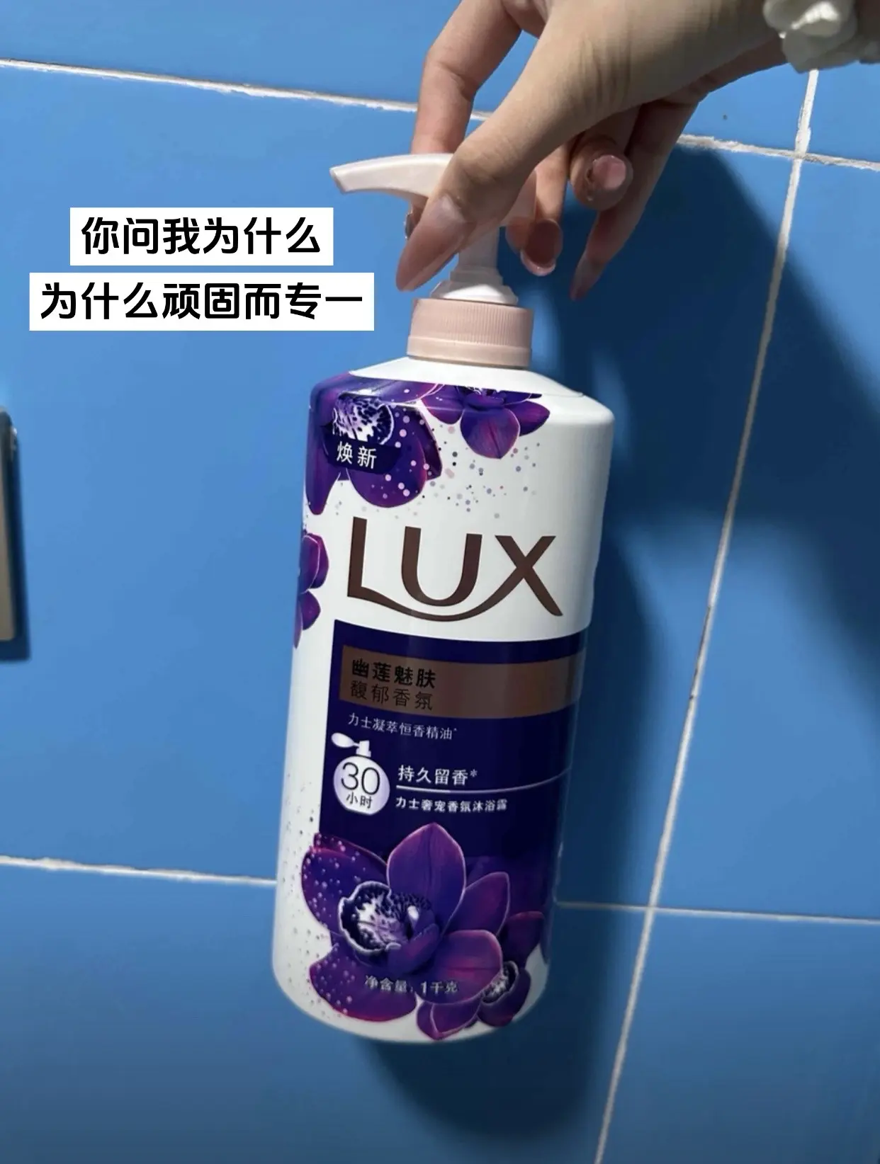 你问我为什么顽固而专一