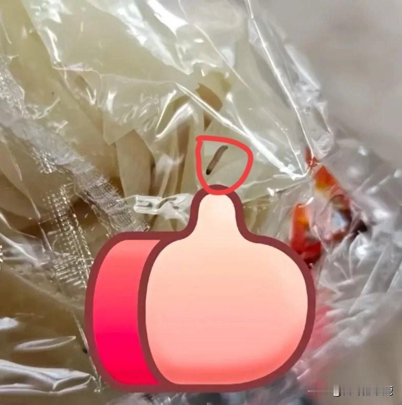 刚刷到白家阿宽面皮每包都藏“虫”的消息，简直yue了！
网友说刚开封的红油面皮里