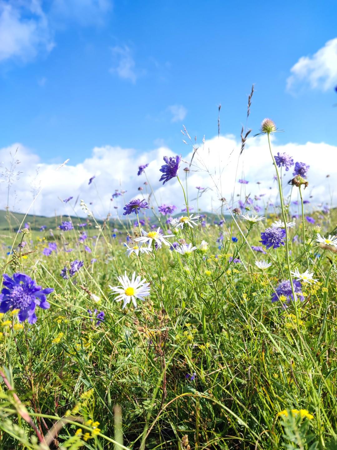 全网找同款的傻人
结婚分家后自己过日子，
公公说我们年轻不会过日子，
让我们把赚