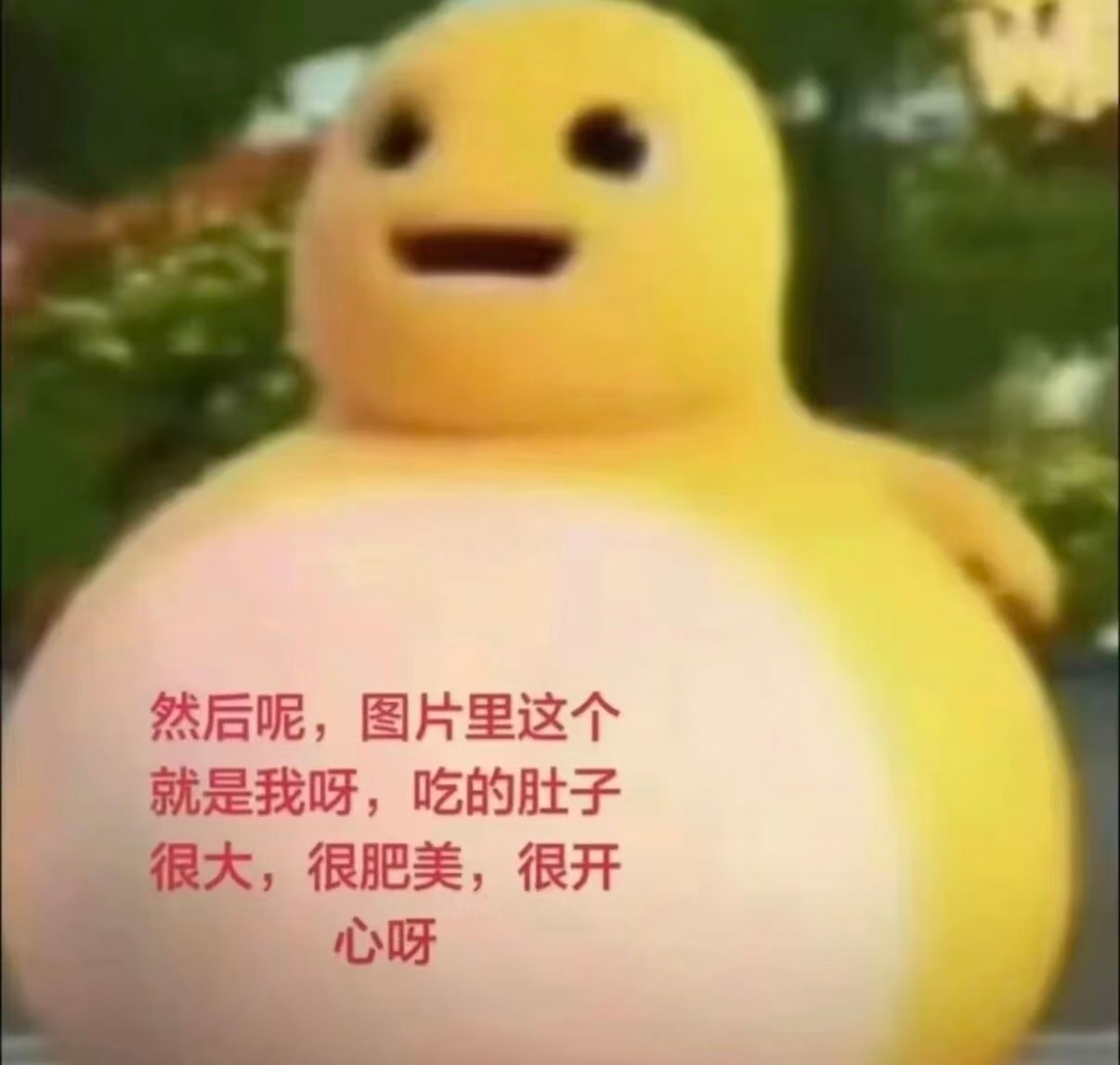好无鸟 