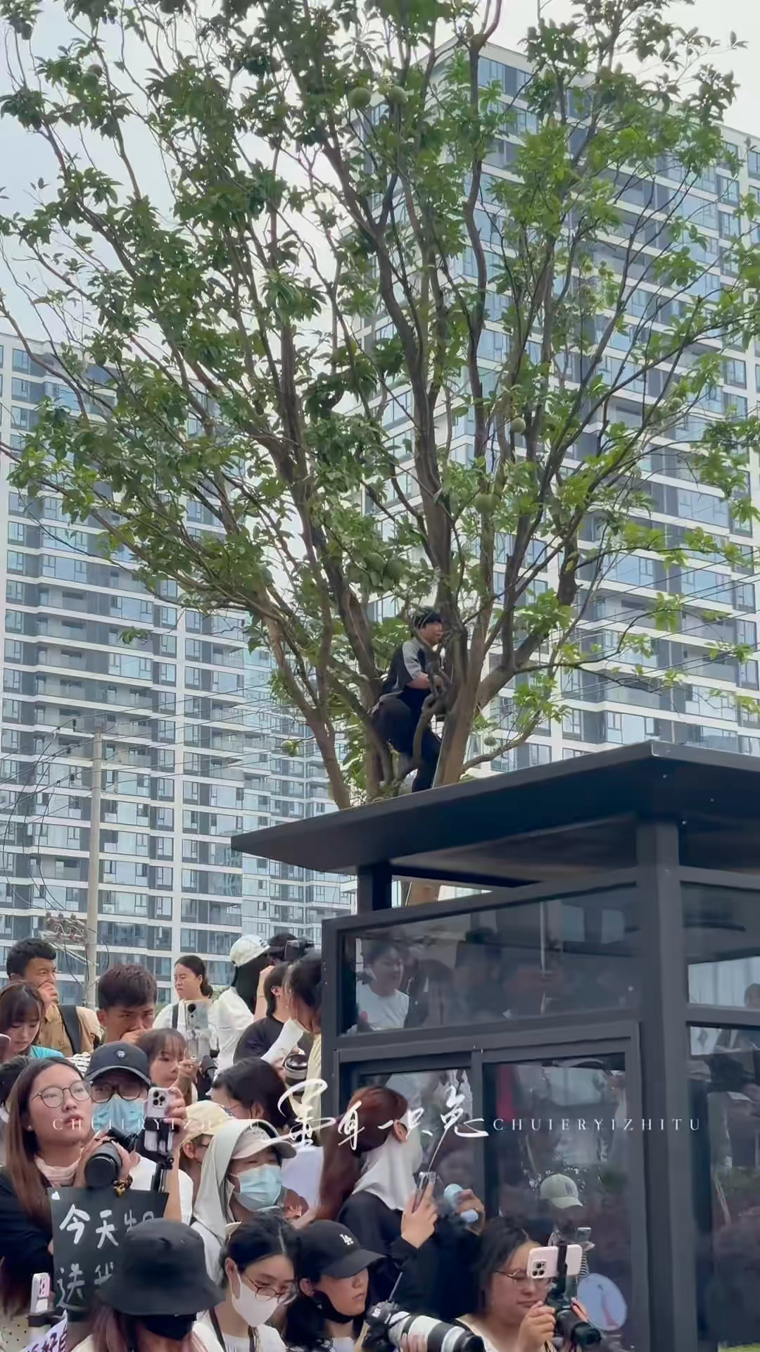 我服了虞书欣进妆路上人太多了，把代拍都干上树了