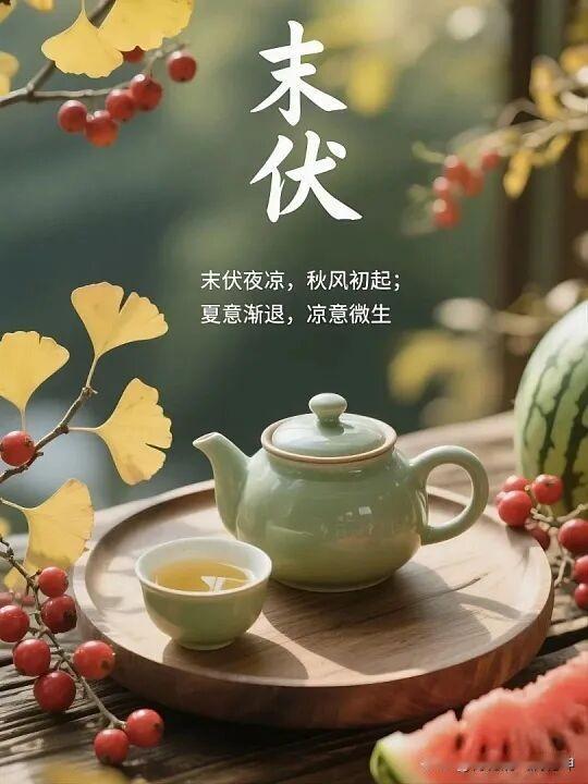 2026/08/14/（农历七月初二）今日末伏，星期五早上好！秋意渐浓，来杯暖茶