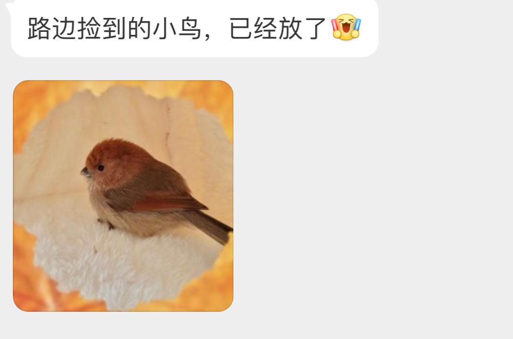 像毛绒挂件的【棕头鸦雀】[开学季]（🥚蛋是神奇的蓝色 ​​​