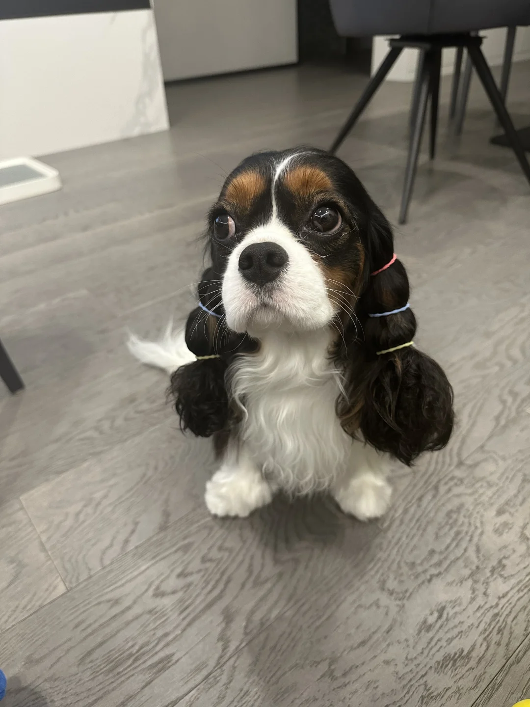 我们胖美伢，也是可爱小妹妹哦