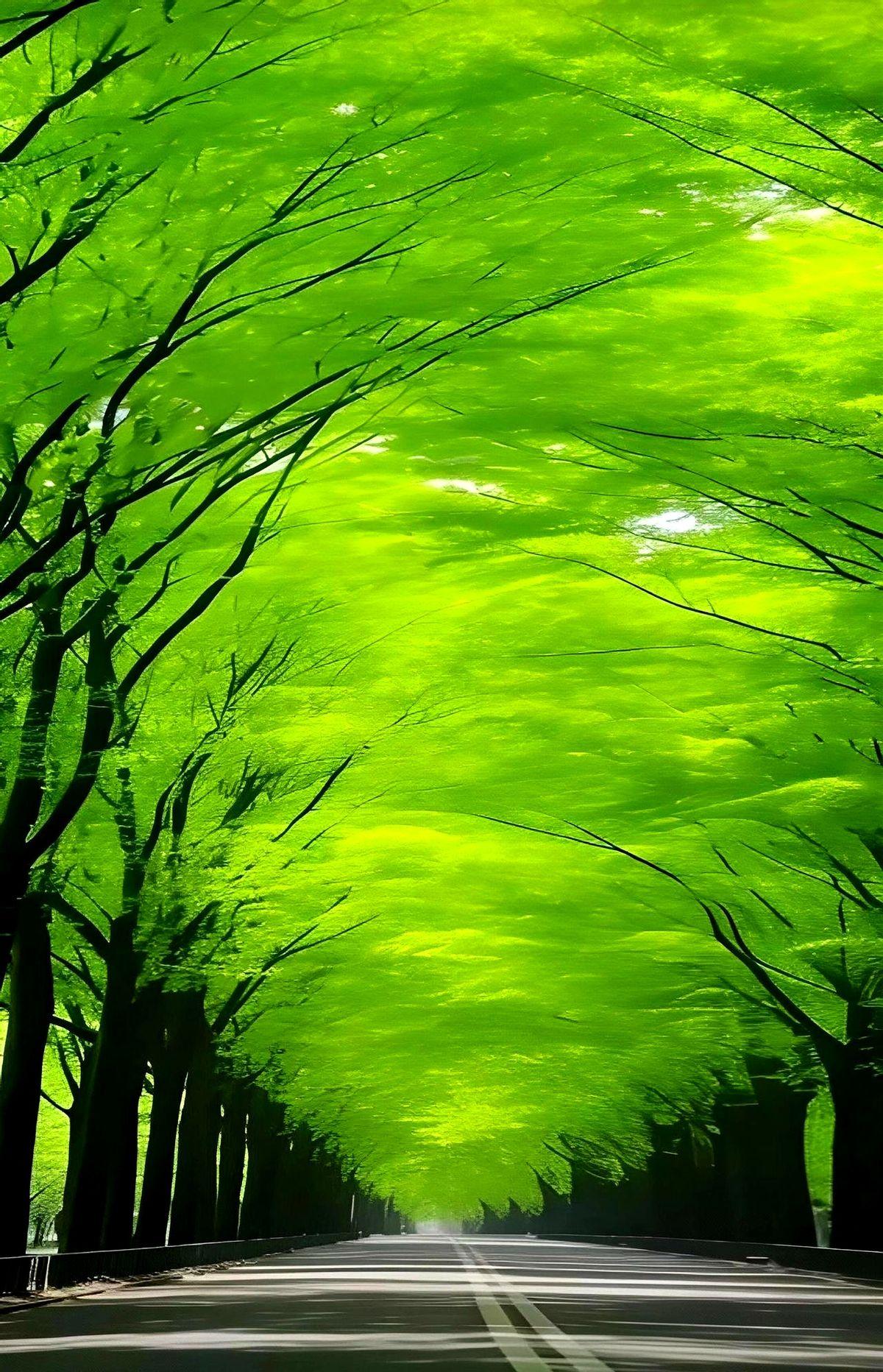 “别拍了，再拍手机就掉水里！”额尔古纳的白桦林边，一个小伙刚吼完同伴，自己脚下一