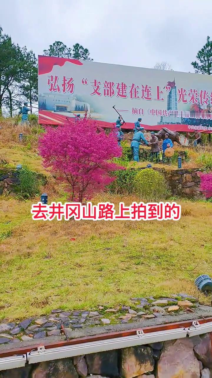 去井冈山路上拍到的。
