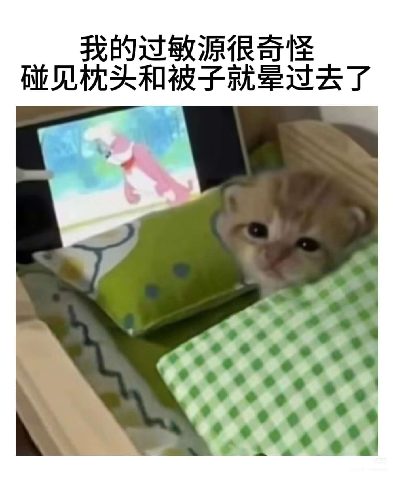 9551我们ZZZZ型人格是这样的 