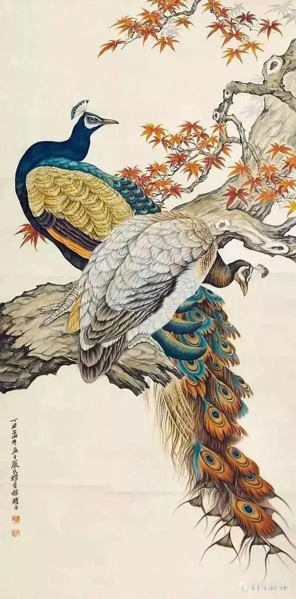 分享一张你拍摄的照片