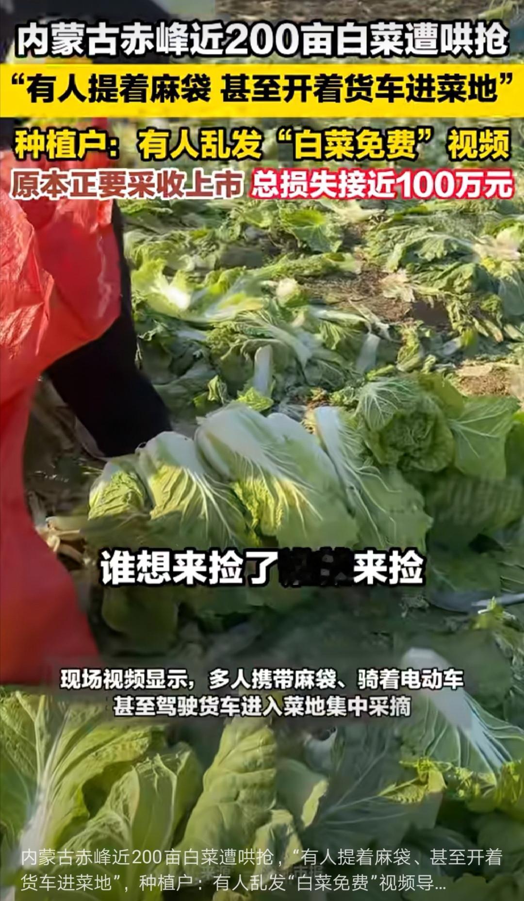 必须严肃追究发布虚假信息、煽动“捡菜”的自媒体、媒体的责任。那些参与“哄抢”者，